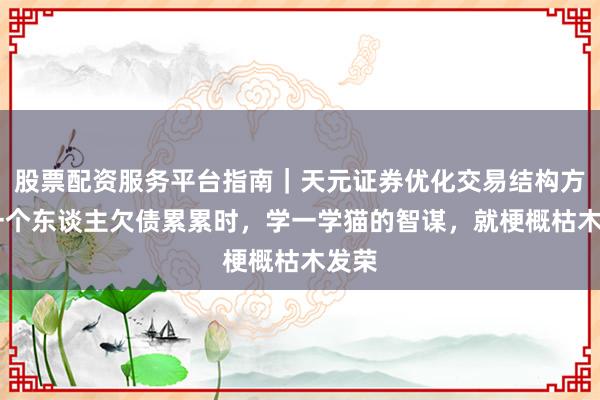 股票配资服务平台指南｜天元证券优化交易结构方案 一个东谈主欠债累累时，学一学猫的智谋，就梗概枯木发荣